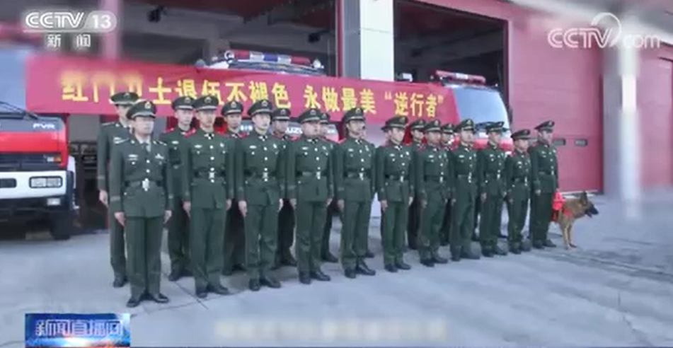 [新聞直播間]曾參與汶川地震搜救的最后一只功勛犬去世