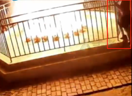 離譜！50歲女子放火焚燒千年古樹