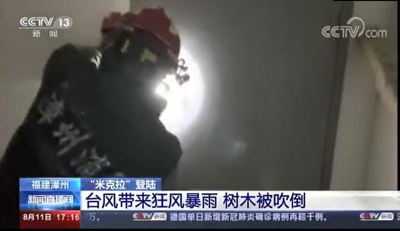 [新聞直播間]臺(tái)風(fēng)帶來狂風(fēng)暴雨 樹木被吹倒