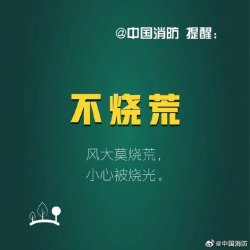 森林防火“九不”！