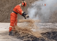 踏青、祭祀不要給山林帶“火”了 消防試驗：用火不慎 短時間可快速蔓延