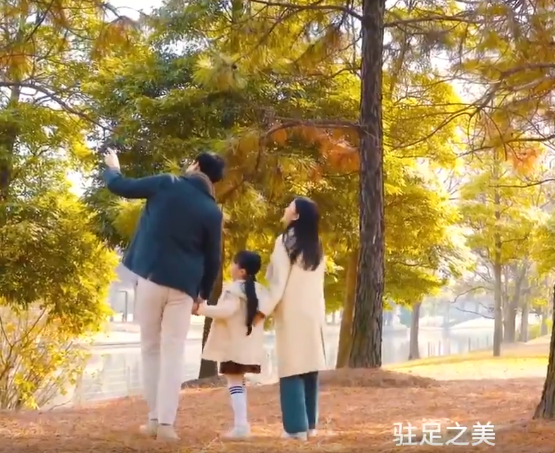 不縱星火，護(hù)秋色永駐