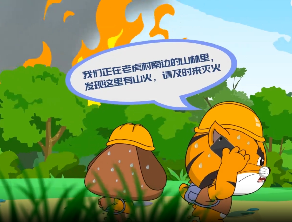 如遇森林火災(zāi)，該如何避險？