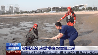 海邊游玩身陷淤泥怎么辦？自救指南請查收