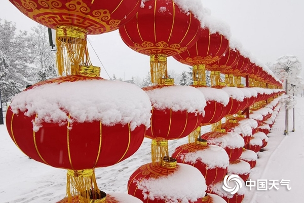 如何應(yīng)對低溫、雨雪、冰凍天氣？