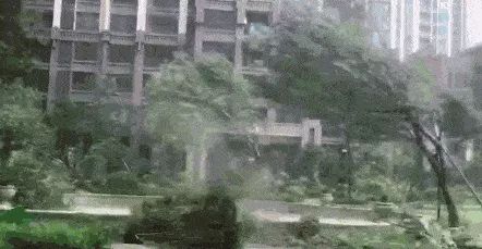 臺(tái)風(fēng)“泰利”來(lái)了！安全提醒！