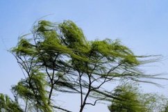 極端天氣避險(xiǎn)指南