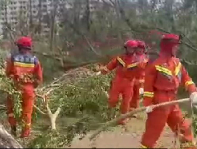 【共同關(guān)注】海南消防部門全力開展道路清理疏通