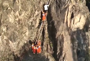 【新聞直播間】浙江東陽 男子挖竹筍滑落山崖 消防員架梯營救
