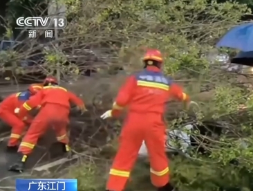 【新聞直播間】廣東江門：強風吹倒大樹 消防冒雨救出被砸女子