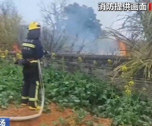 【新聞直播間】兒童玩火放炮引發(fā)火災(zāi) 消防及時救援