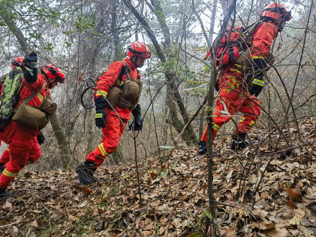 【新華社】新春走基層丨群眾過節(jié) 我們守護 探訪麥積山下的森林衛(wèi)士